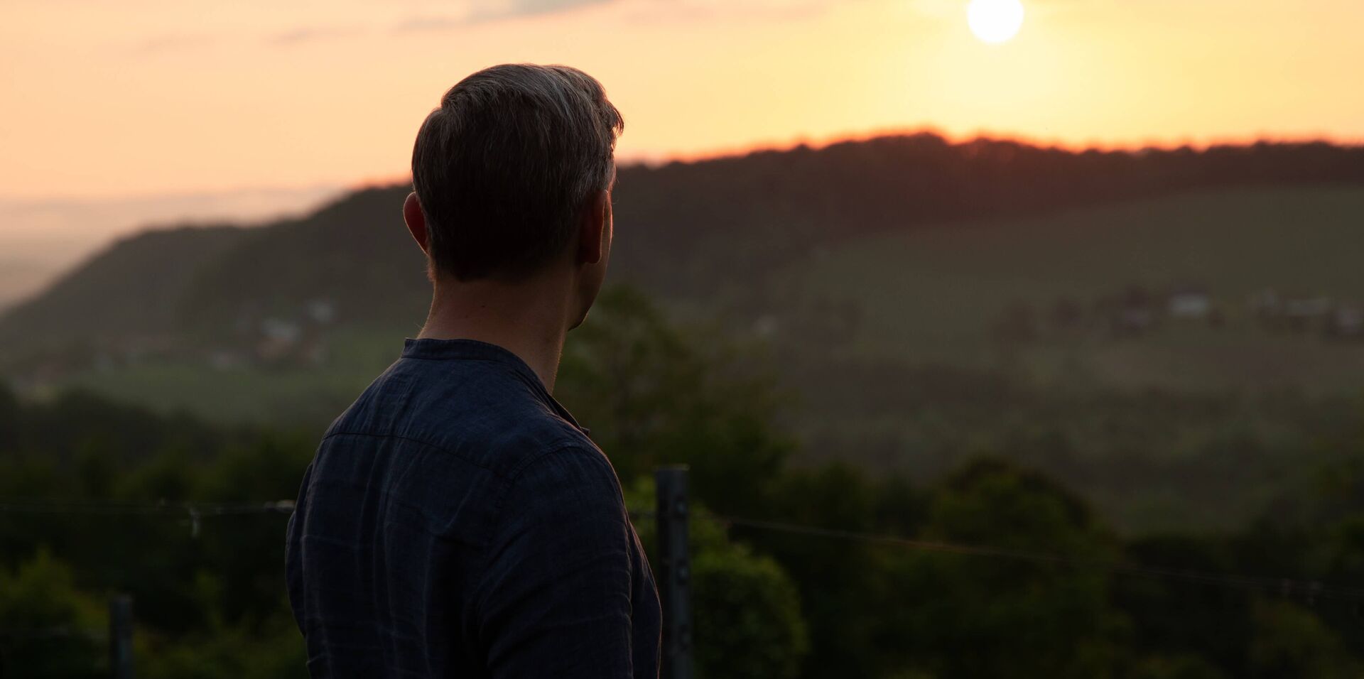 Erich Polz schaut ueber die Weinberge