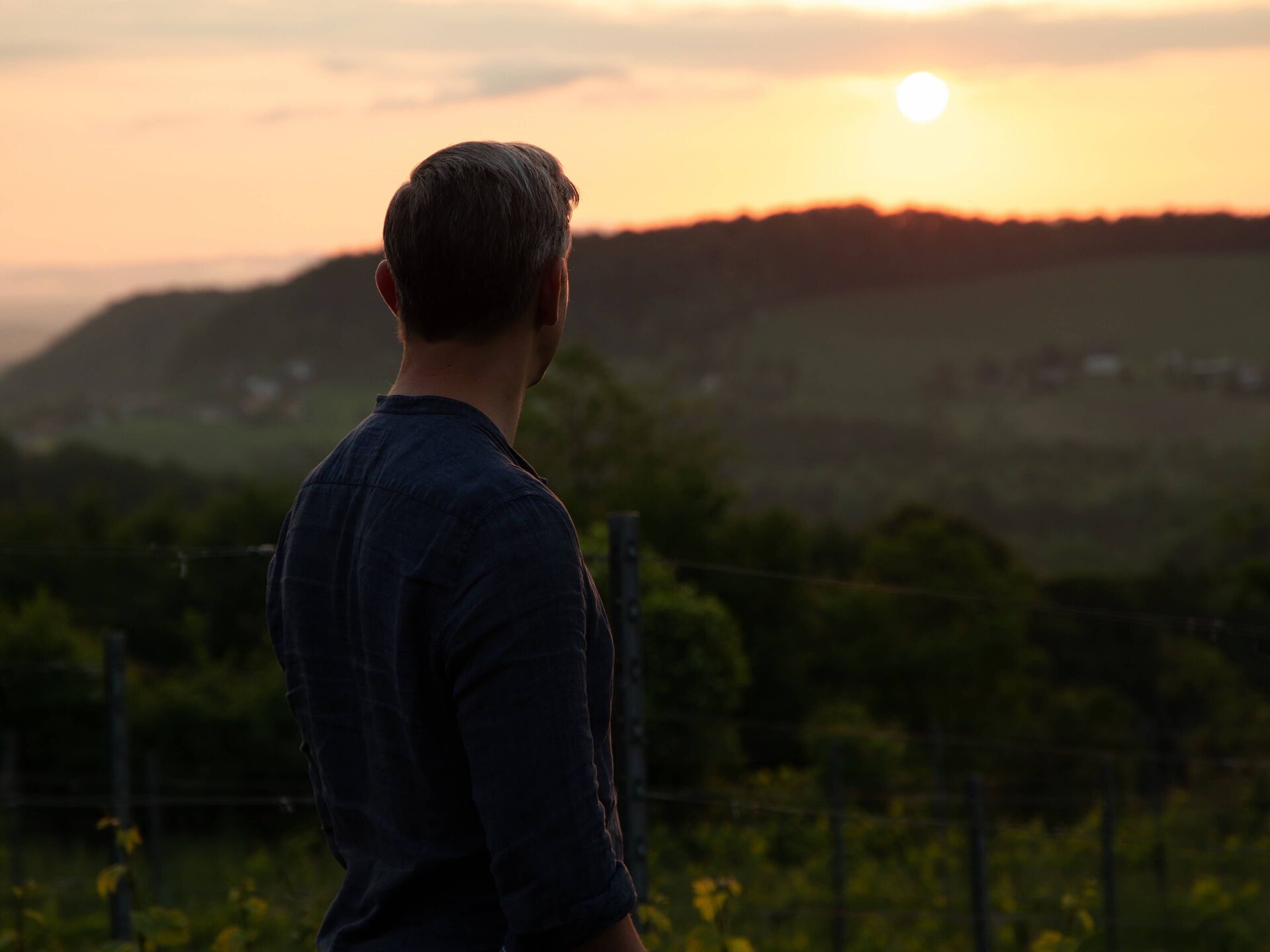 Erich Polz schaut ueber die Weinberge