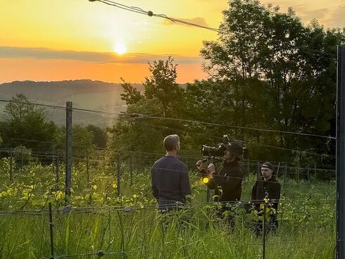 Maenner stehen zwischen Wein mit Kamera