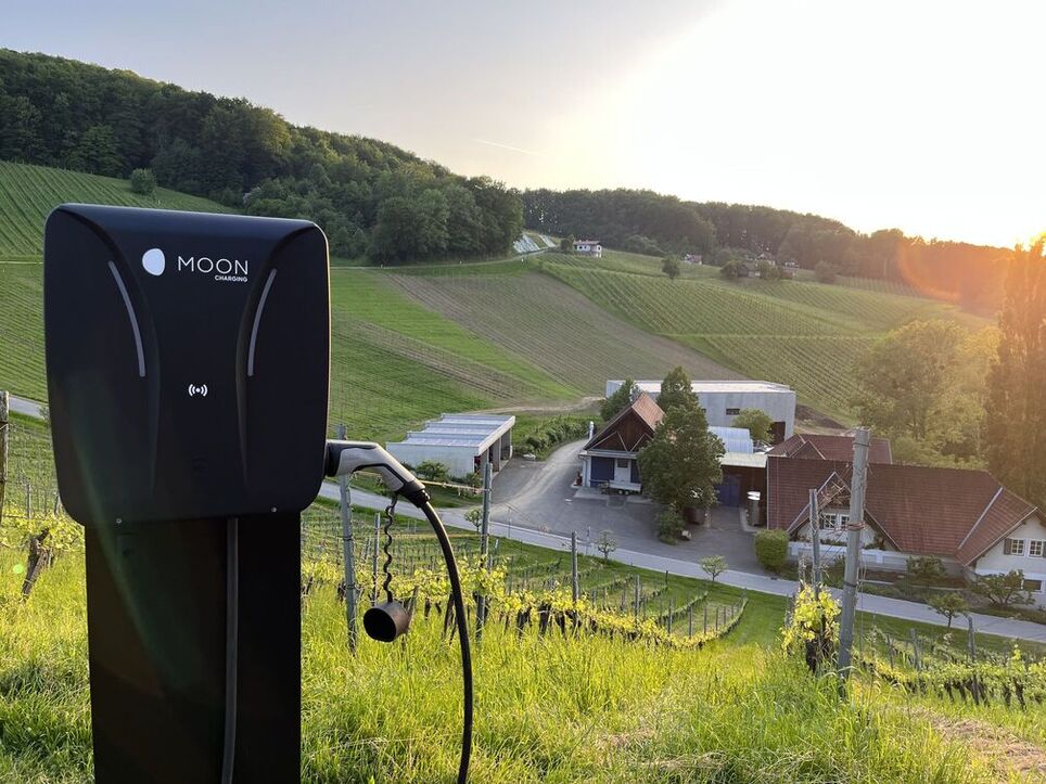 A MOON Walbox on a stand with a winery Polz on the background