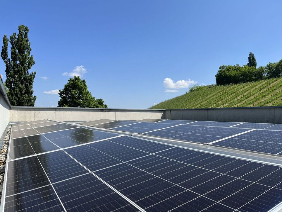 Photovoltaic system on the roof of the Polz winery.